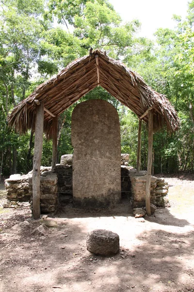 Eski Coba Maya Harabelerinin Manzarası — Stok fotoğraf