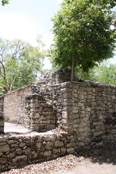 Vista Panoramica Vecchie Rovine Maya Coba — Foto Stock