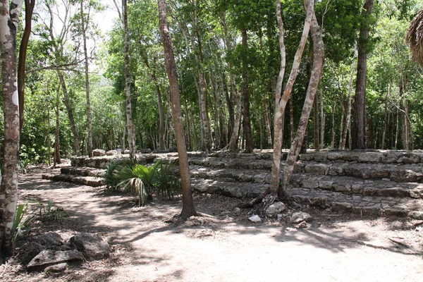 Eski Coba Maya Harabelerinin Manzarası — Stok fotoğraf