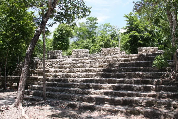 Vista Panorâmica Antigas Ruínas Coba Mayan — Fotografia de Stock