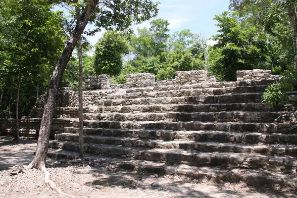 Vista Panorâmica Antigas Ruínas Coba Mayan — Fotografia de Stock