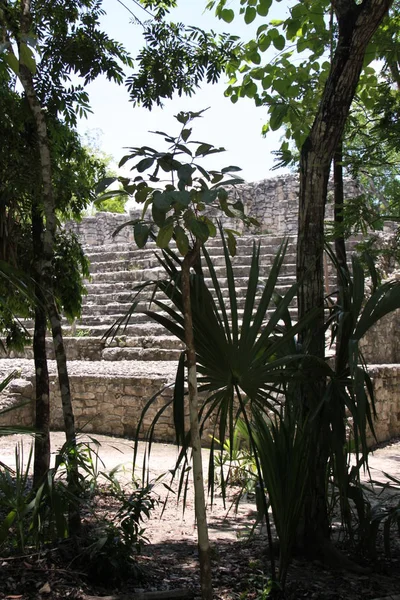 Vista Panorámica Viejas Ruinas Mayas Coba — Foto de Stock