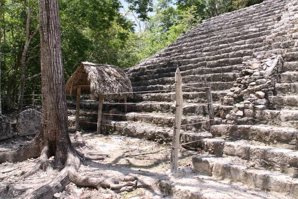Malowniczy Widok Stare Ruiny Koby Majów — Zdjęcie stockowe