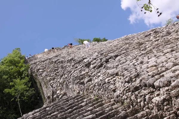Vista Panorâmica Antigas Ruínas Coba Mayan — Fotografia de Stock