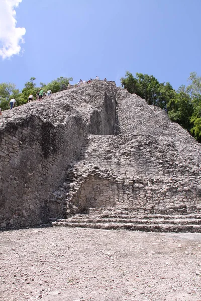 Vista Panorâmica Antigas Ruínas Coba Mayan — Fotografia de Stock