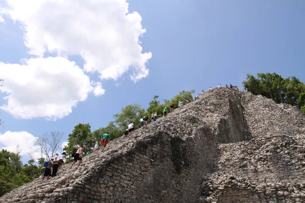 Vista Panorâmica Antigas Ruínas Coba Mayan — Fotografia de Stock