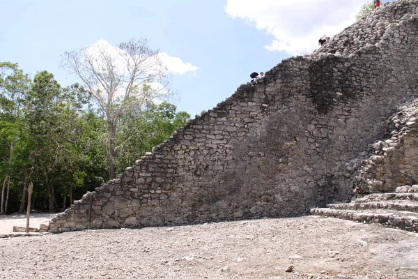 Vista Panorámica Viejas Ruinas Mayas Coba — Foto de Stock