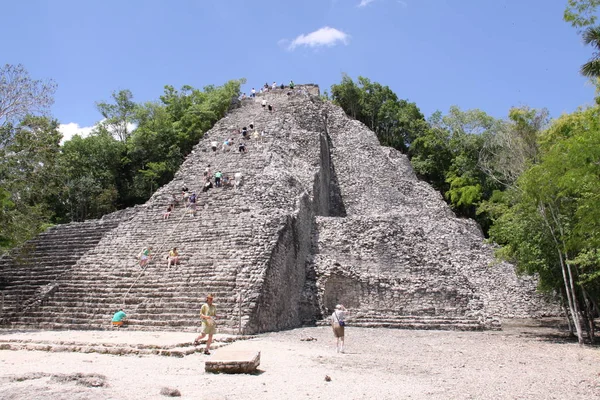 Vista Panorámica Viejas Ruinas Mayas Coba — Foto de Stock