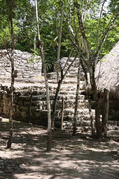 Vista Panorâmica Antigas Ruínas Coba Mayan — Fotografia de Stock