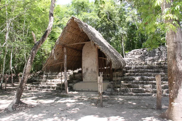 Vista Panorámica Viejas Ruinas Mayas Coba —  Fotos de Stock