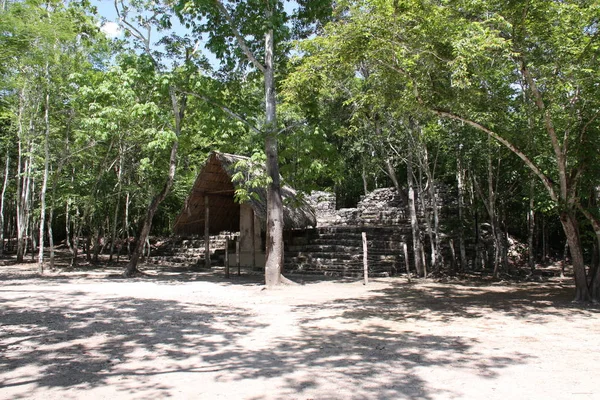 Pemandangan Indah Dari Reruntuhan Tua Coba Mayan — Stok Foto