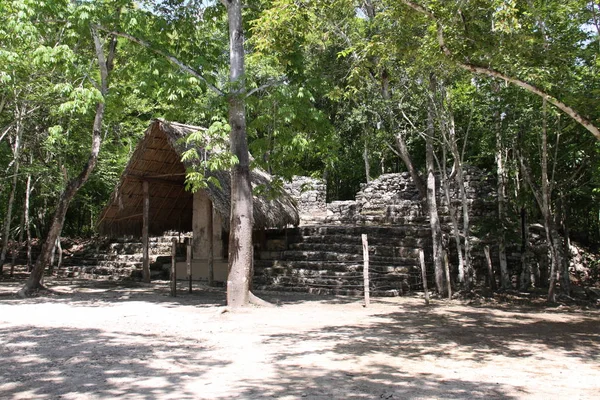 Vista Panorámica Viejas Ruinas Mayas Coba —  Fotos de Stock