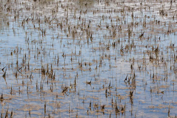 Platteland Landbouw Akkerland — Stockfoto