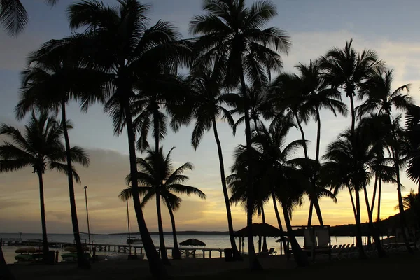 Puerto Rico Üdülési Paradicsom — Stock Fotó