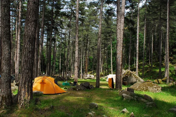 Zelt Wald — Stockfoto