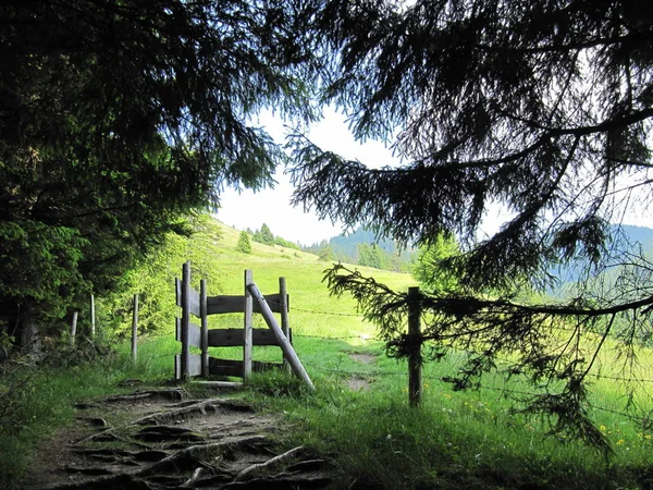 Prachtig Uitzicht Natuur — Stockfoto