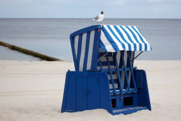 Chaises Vides Sur Plage — Photo