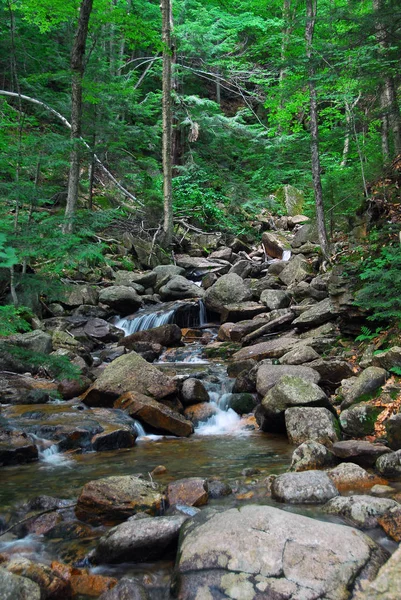 Beleza Natureza Fluxo Fluvial Cachoeira — Fotografia de Stock