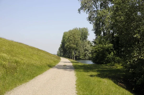 Weg Rhein Bei Wittenweier — Stockfoto