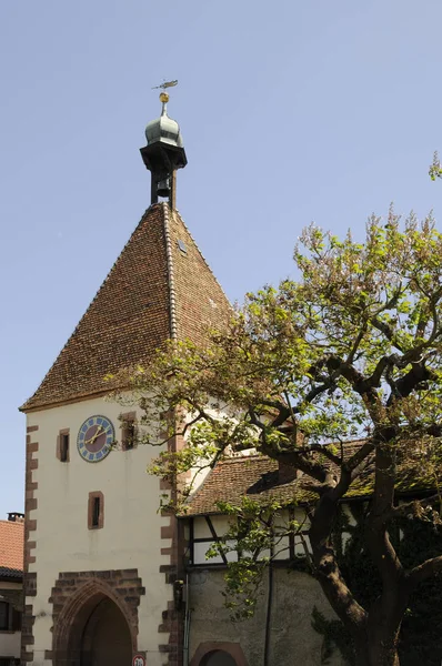 King Schaffhausener Gól Endingen — Stock fotografie