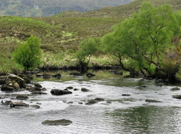 Río Montaña Verano — Foto de Stock