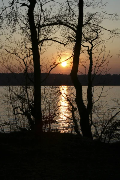 Evening Lake Starnberg — Stock Photo, Image