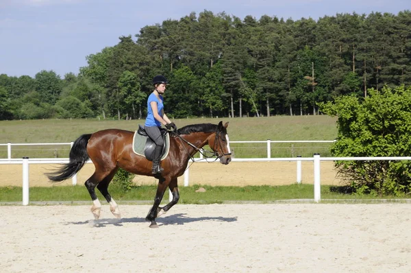 Paardrijder Tijdens Rijlessen — Stockfoto