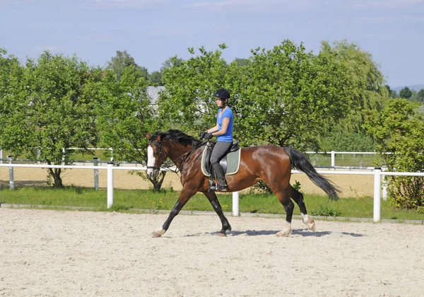 Paardrijder Tijdens Rijlessen — Stockfoto