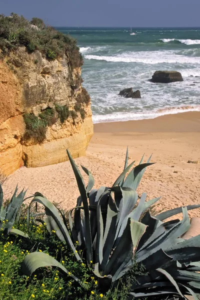 Bellissimo Paesaggio Tropicale Spiaggia — Foto Stock