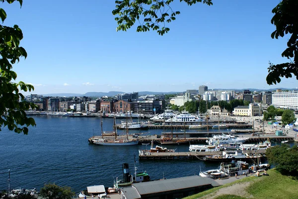 Oslo Capitale Norvège Trouve Sur Côte Sud Pays Tête Oslofjord — Photo