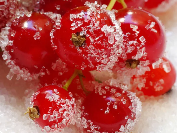 Berries Closeup Shot Healthy Food Concept — Stock Photo, Image