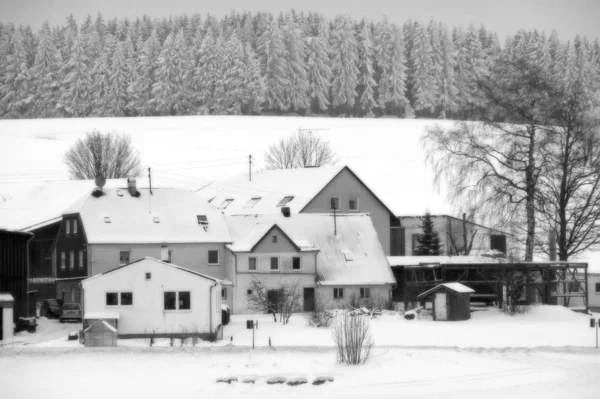 Byn Snön Nära Skogen — Stockfoto