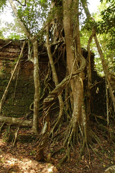 古代カンボジアの寺院 — ストック写真