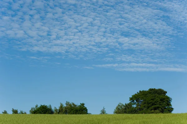 Hermosa Vista Del Paisaje Natural — Foto de Stock