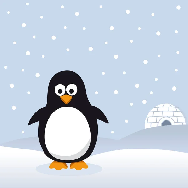 雪の中のペンギン — ストック写真