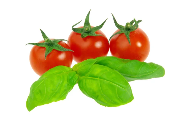 Pomidor Bazylia Pomidor Bazylia — Zdjęcie stockowe