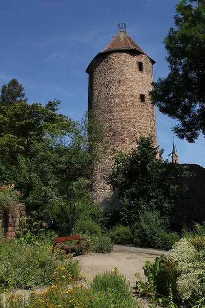 Weinheim Zwei Burgen Stadt — Stockfoto