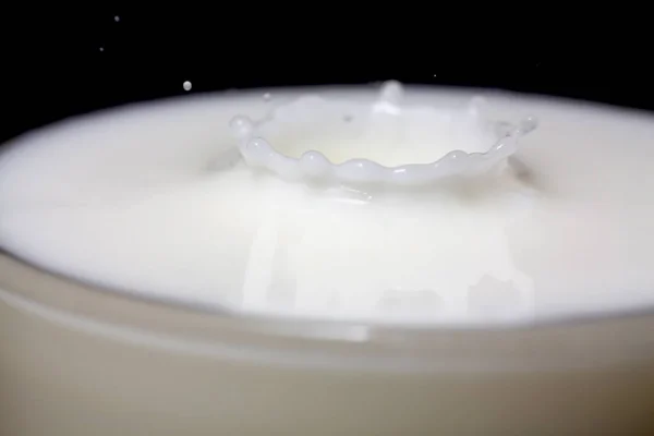 Droppe Mjölk Ett Glas — Stockfoto