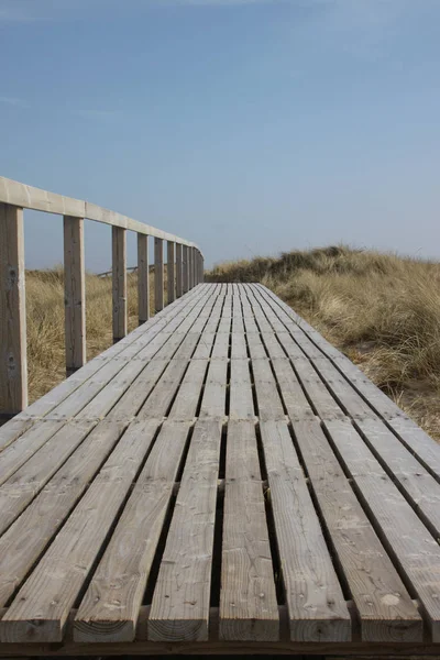 Promenade Duinen — Stockfoto