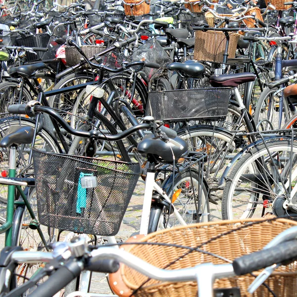 市内の自転車の列は — ストック写真