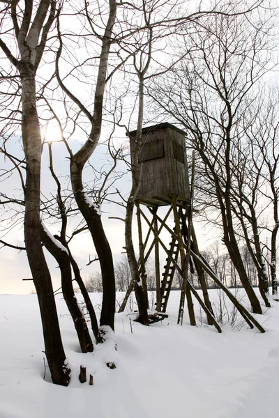 Pittoresk Utsikt Över Naturscenen — Stockfoto