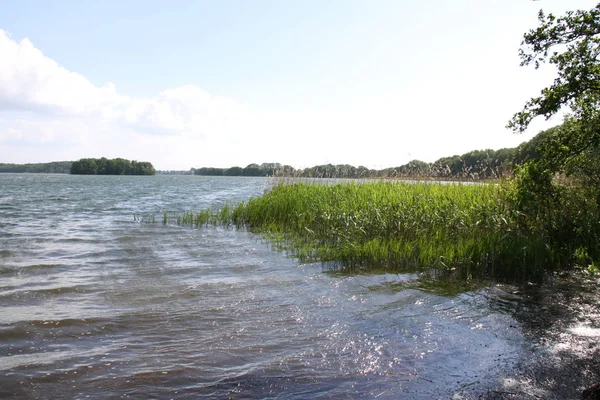 Paisagem Cana Lago — Fotografia de Stock