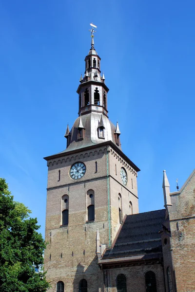 Görkemli Katedral Mimarisinin Manzarası — Stok fotoğraf