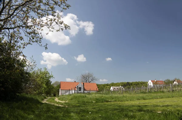 Paisaje Lago Balaton — Foto de Stock