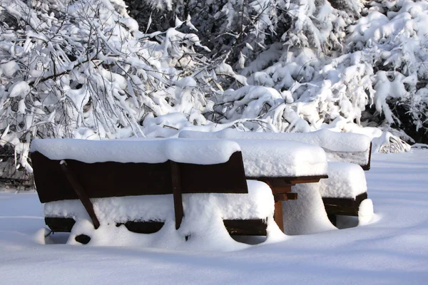 Vista Uma Cena Inverno — Fotografia de Stock