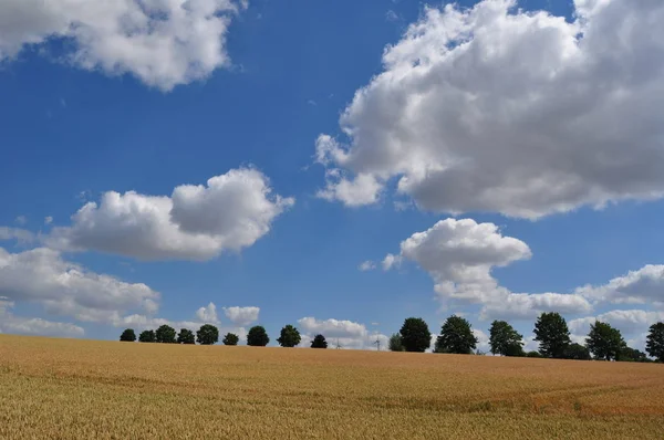 Hermosa Vista Naturaleza — Foto de Stock