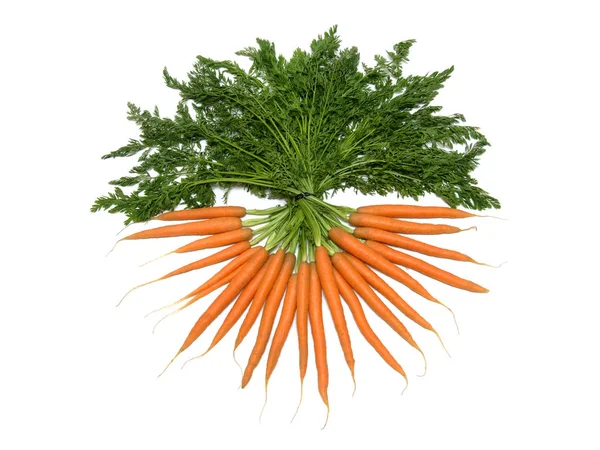 Букет Свіжої Моркви Ізольований Білому Тлі — стокове фото