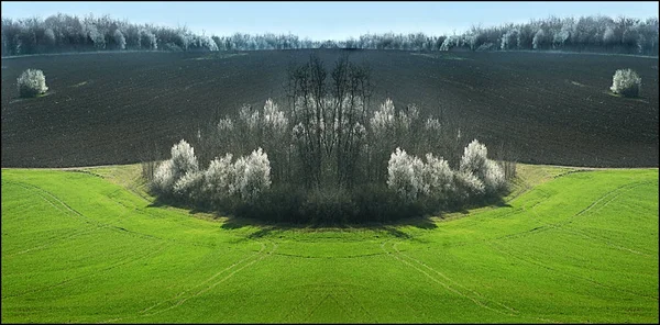 Pintoresca Vista Del Hermoso Paisaje Primavera — Foto de Stock