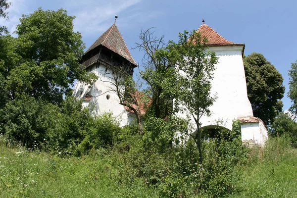 Roemenië Een Zuidoostelijk Europees Land Dat Bekend Staat Beboste Regio — Stockfoto