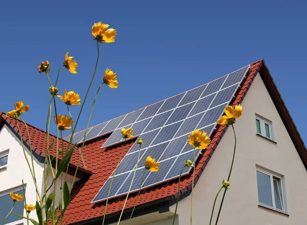 Zonnepanelen Dak Achter Bloemen — Stockfoto